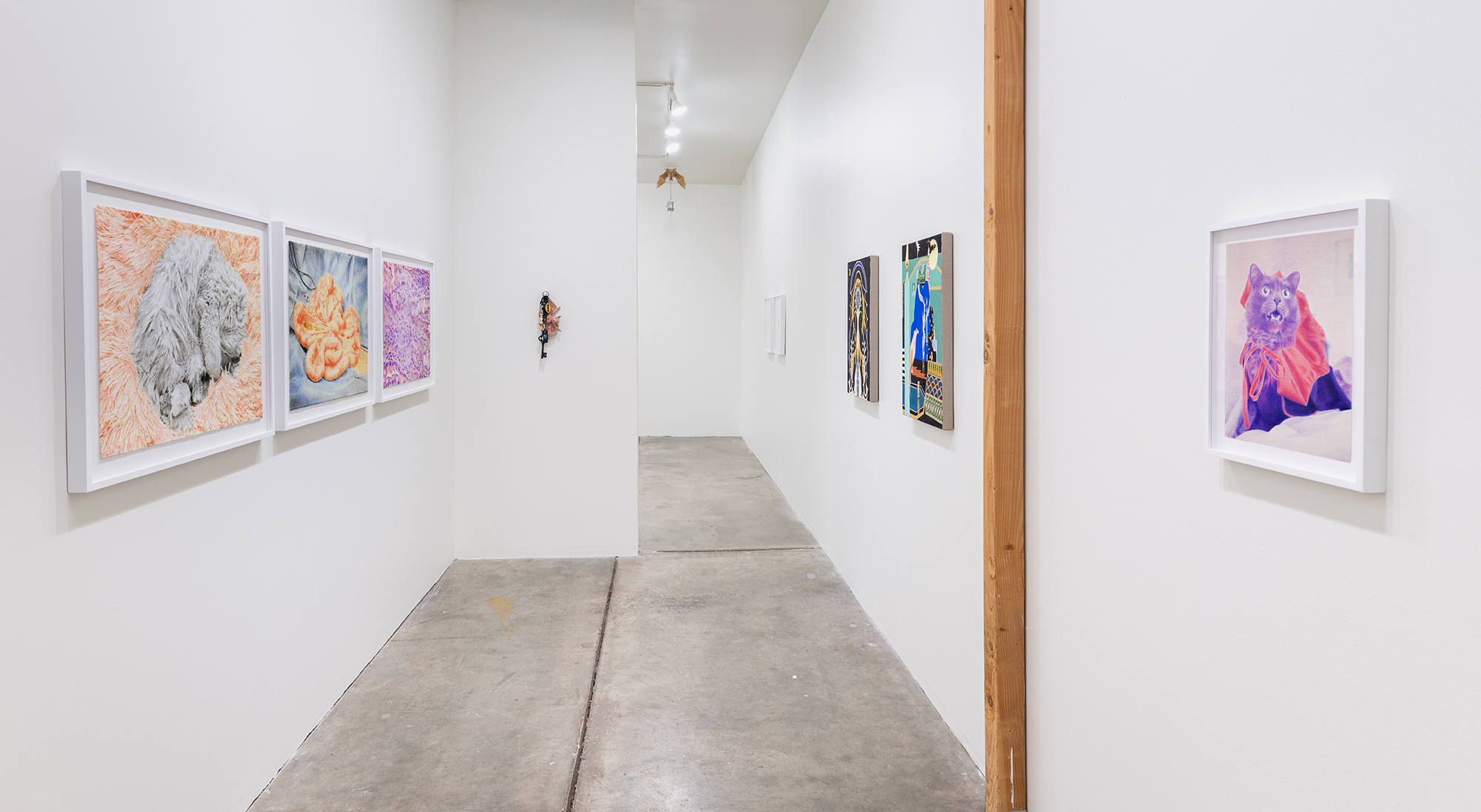 ₍^. .^₎⟆ & /|\ ^._.^ /|\ at Well Well Projects in Portland, OR