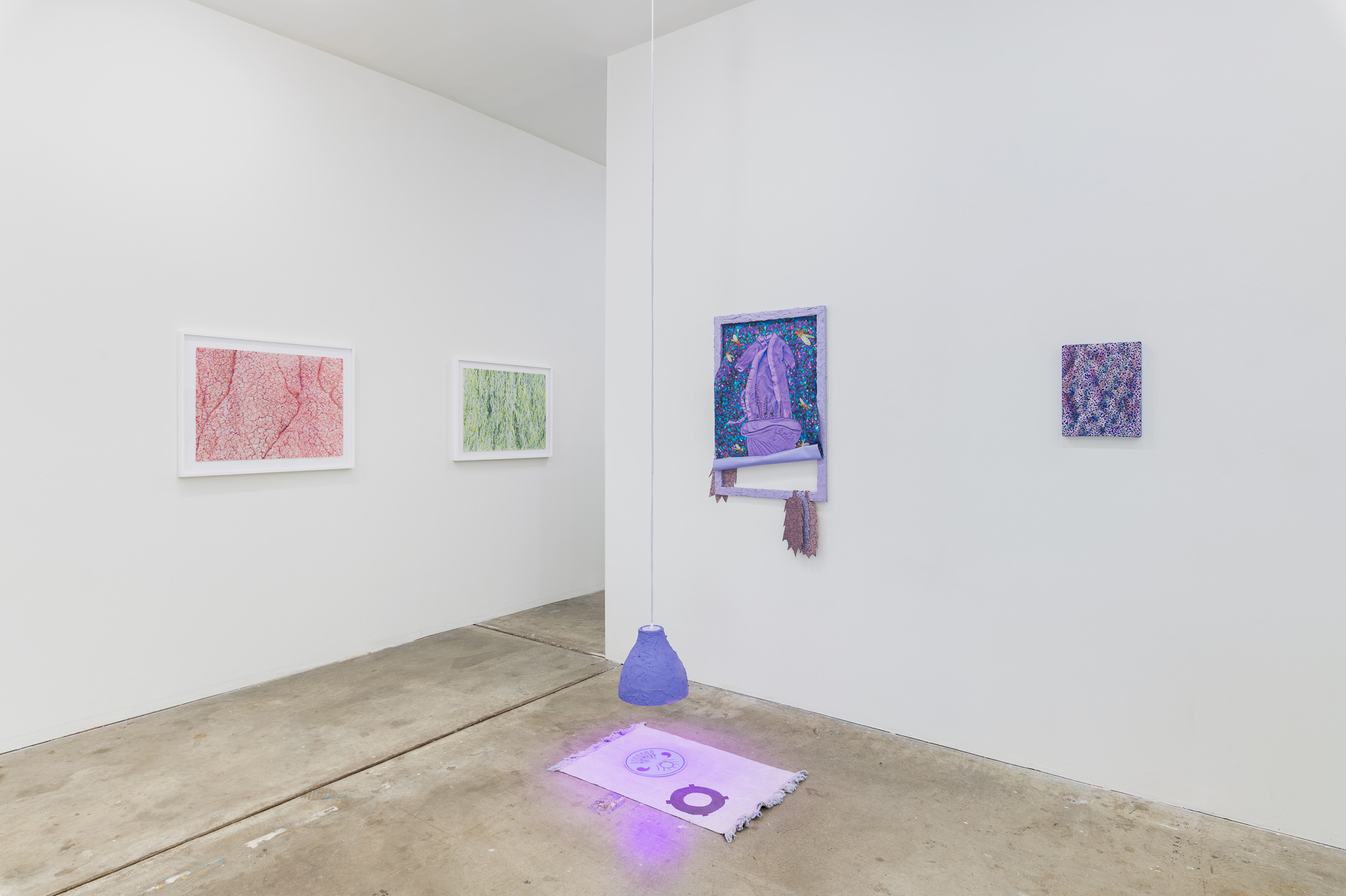 Well Well Well... a member group exhibition